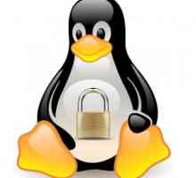 7 Переваг linux