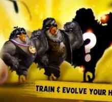 Angry birds: evolution