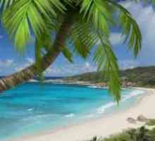 Beach live wallpaper