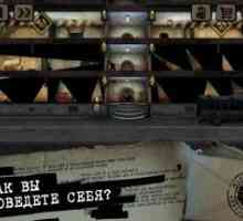 Beholder