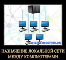 Для чого потрібна локальна мережа між комп`ютерами?
