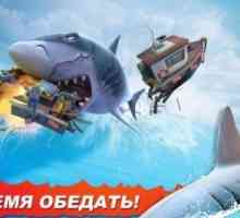 Hungry shark evolution