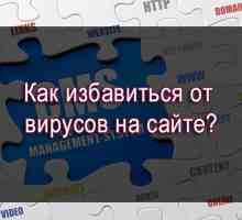 Як позбутися від вірусів на сайті?