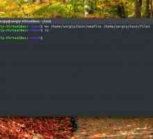 Як перейменувати файл linux