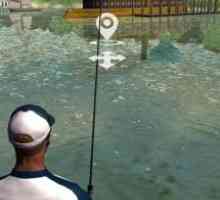Rapala fishing - daily catch