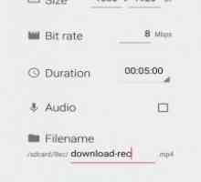 Rec (screen recorder)