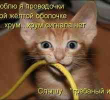 Мережевий кабель не підключений!