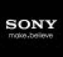 Sony пропонує карти sdhc з можливістю резервного копіювання