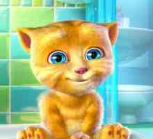 Talking ginger