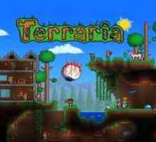 Terraria
