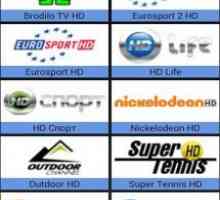 Torrent controller