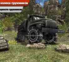 Truck driver 3d