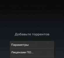Ttorrent pro