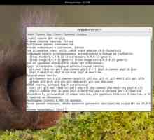 Установка composer ubuntu 16.04