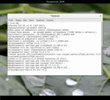 Установка ftp на ubuntu 16.04