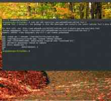 Установка sublime text 3 ubuntu 16.04