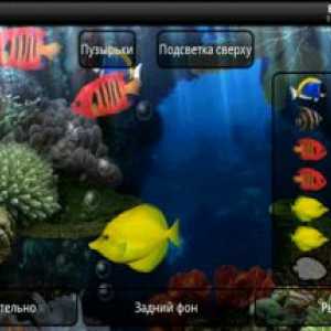 Aquarium