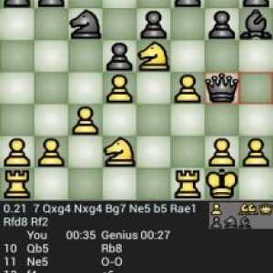 Chess genius