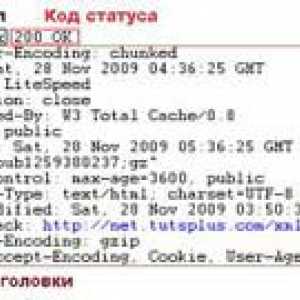 Як дізнатися http-заголовки сервера через curl