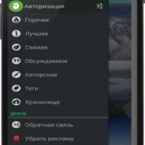 Пікабіа