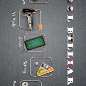 Pool billiards pro