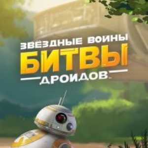 Star wars: puzzle droids