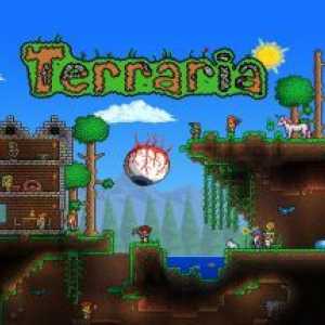 Terraria