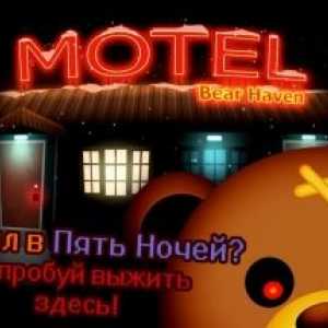 Вижити в мотелі ведмедів
